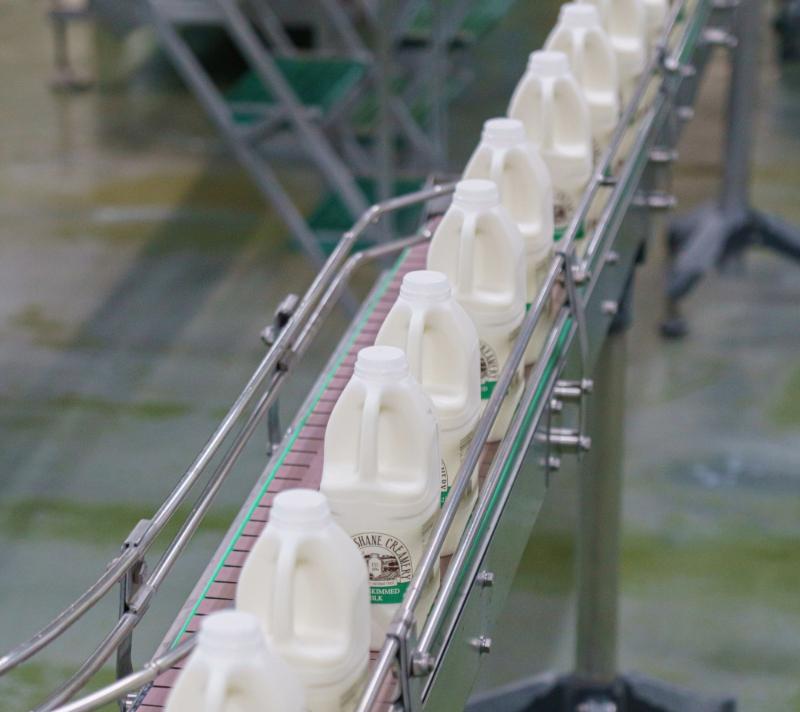 A line of milk cartons on a conveyor belt.