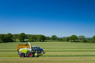 A harvester transferring freshly cut grass into a tractor and trailer.
