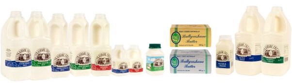 Range of dairy products, including milk cartons and blocks of butter