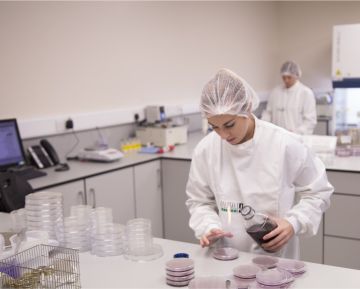 A Lakeland Dairies team member running tests in a lab.