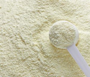 scoop in milk powder