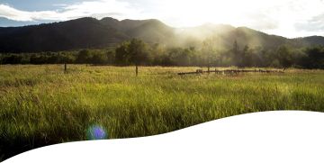 A scenic view of fields and mountains.