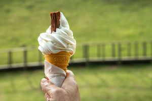 99 cone being held by hand in front of a green field