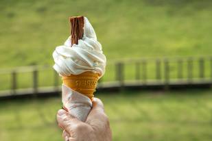 99 cone being held by hand in front of a green field