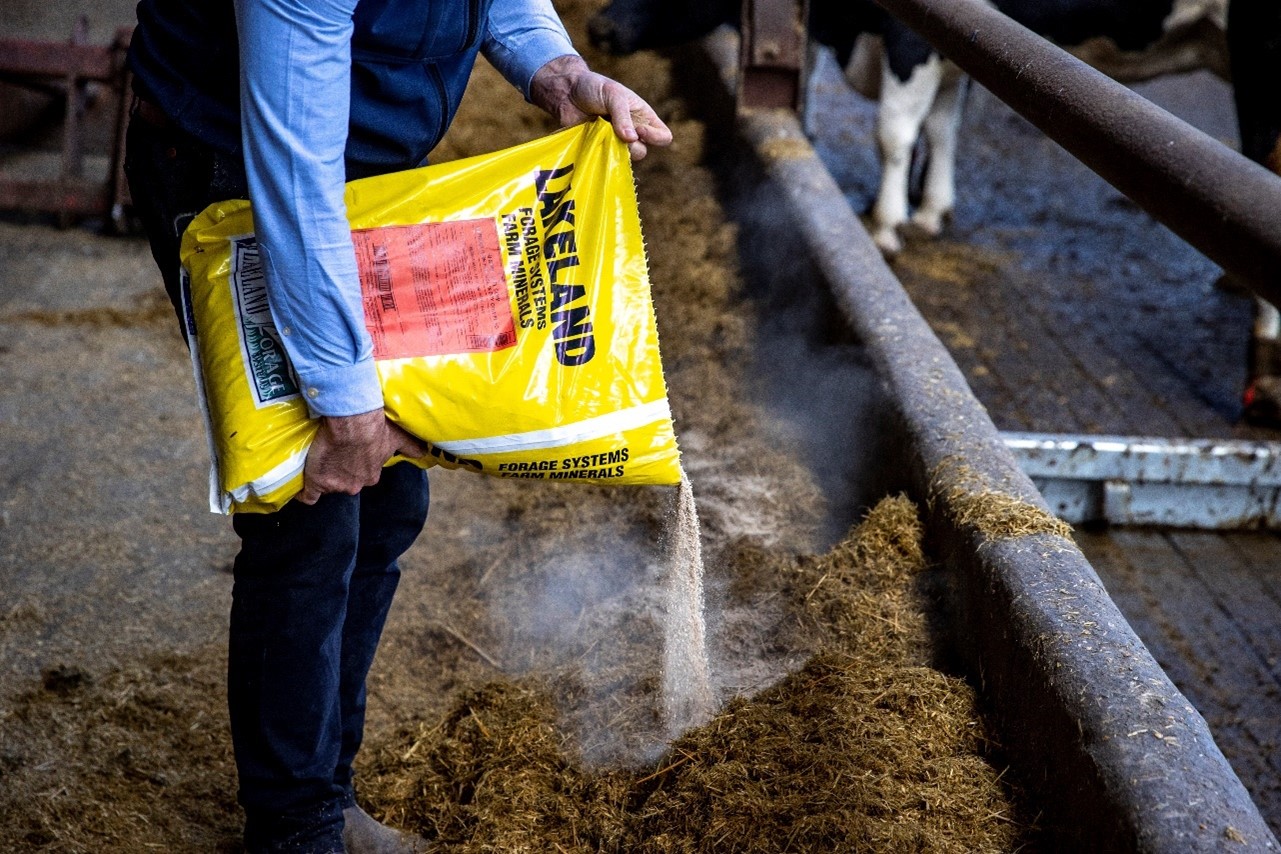 A Lakeland Dairies team member emptying a bag of minerals.