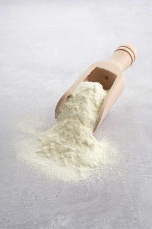 Skimmed milk powder on wooden spoon