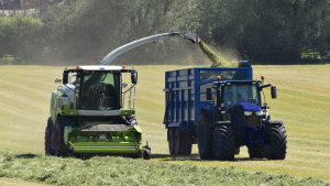 A harvester transferring grass from a field to a tractor and trailer.