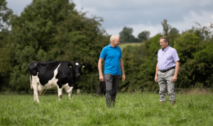 Two farmers talking in a field as a friesian cow watches on.