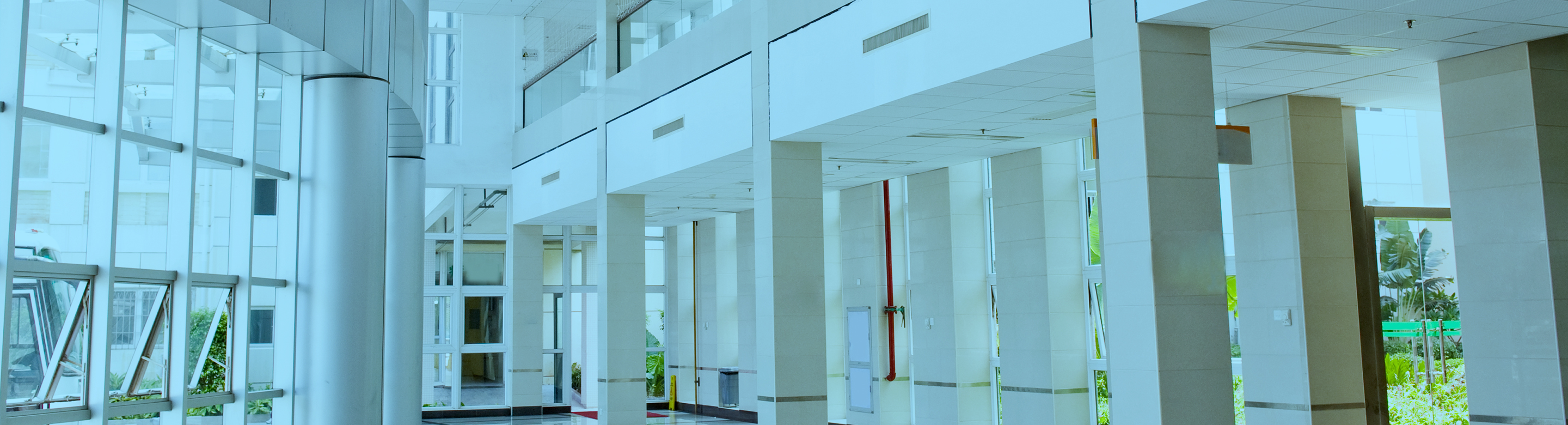 Room with big windows