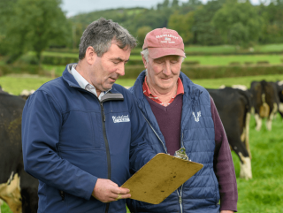 A Lakeland Dairies employee working with one of our milk suppliers.