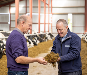 A Lakeland Dairies team member and milk supplier checking the silage quality.