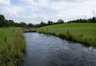 A stream running through the farm of a Lakeland Dairies milk supplier.